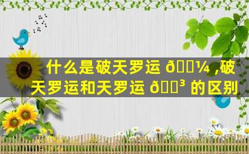 什么是破天罗运 🌼 ,破天罗运和天罗运 🌳 的区别